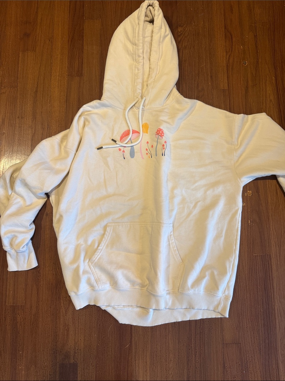 American Eagle Outfitters Cream Hoodie with Colorful Mushroom Design